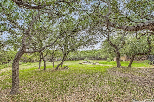 27030 Vaughns Vw, San Antonio, TX 78260 - view of yard