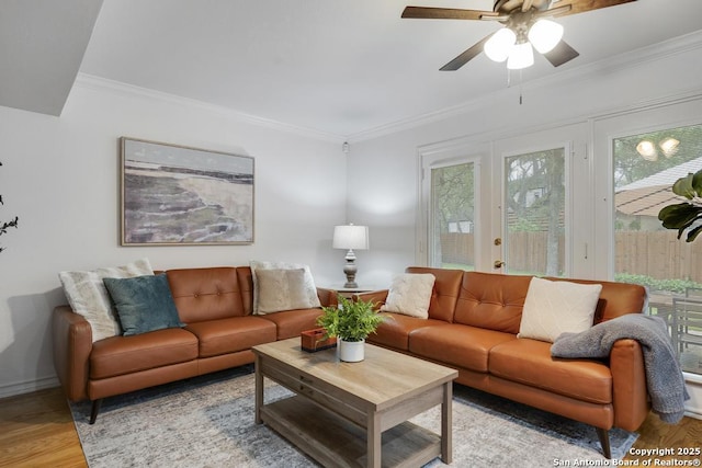 living room featuring ceiling fan, ornamental molding, baseboards, and light wood-type flooring