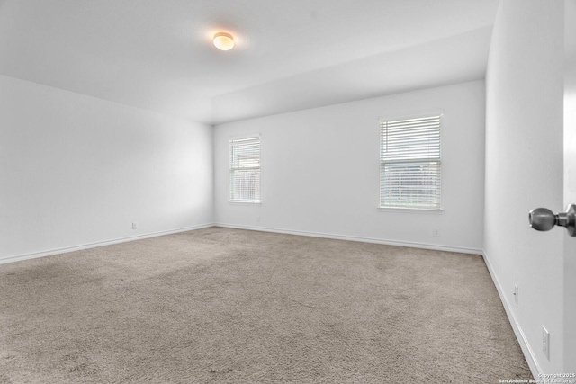 spare room with baseboards and carpet flooring