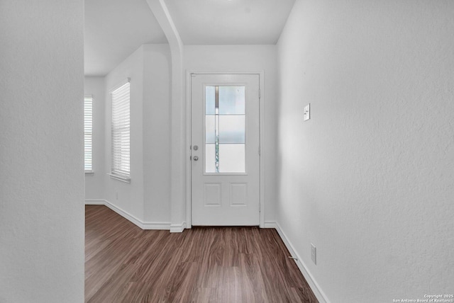 foyer entrance featuring baseboards, plenty of natural light, and dark wood-style flooring