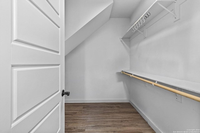 walk in closet featuring dark wood-style flooring