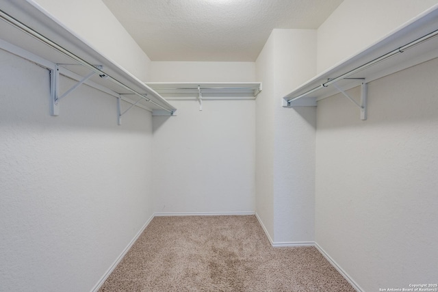 spacious closet with carpet