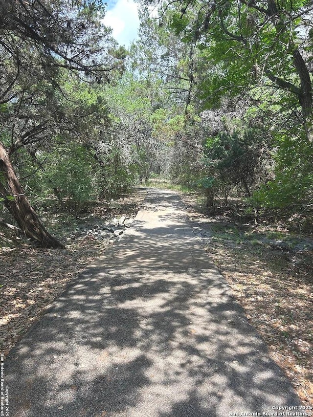 view of road featuring a wooded view
