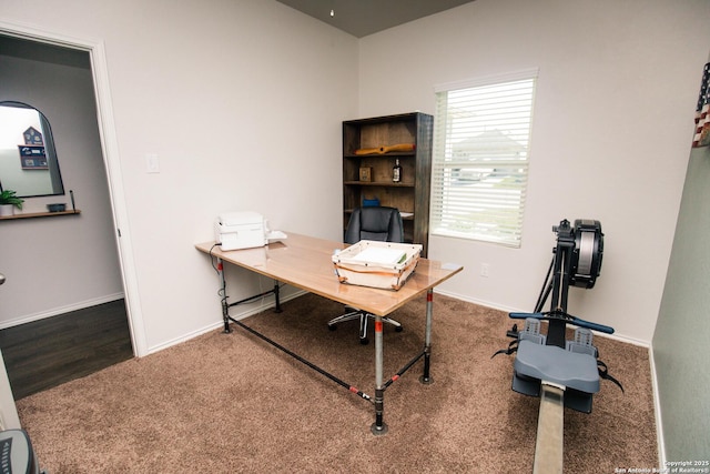office area featuring carpet floors and baseboards
