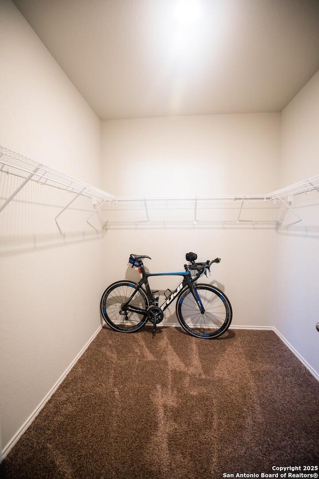 spacious closet featuring carpet