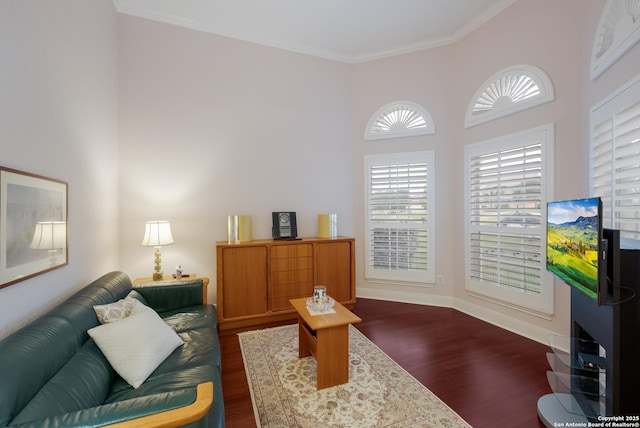 sitting room featuring crown molding, baseboards, dark wood finished floors, and a towering ceiling