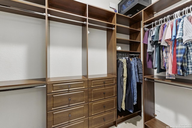 walk in closet featuring carpet floors