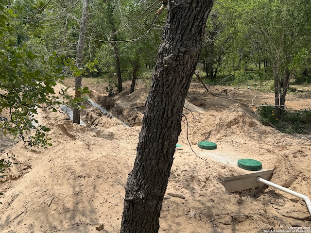 view of local wilderness