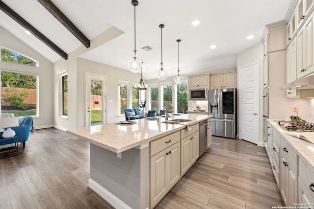 kitchen with appliances with stainless steel finishes, plenty of natural light, a sink, and visible vents