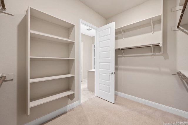 spacious closet featuring carpet flooring