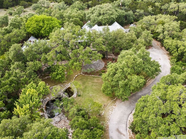 bird's eye view