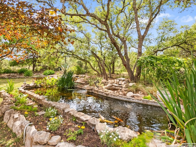 view of nature with a small pond
