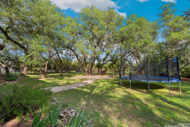 30406 Saddleridge, Bulverde, TX 78163 - view of yard featuring a trampoline