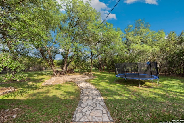 30406 Saddleridge, Bulverde, TX 78163 - view of yard featuring a trampoline