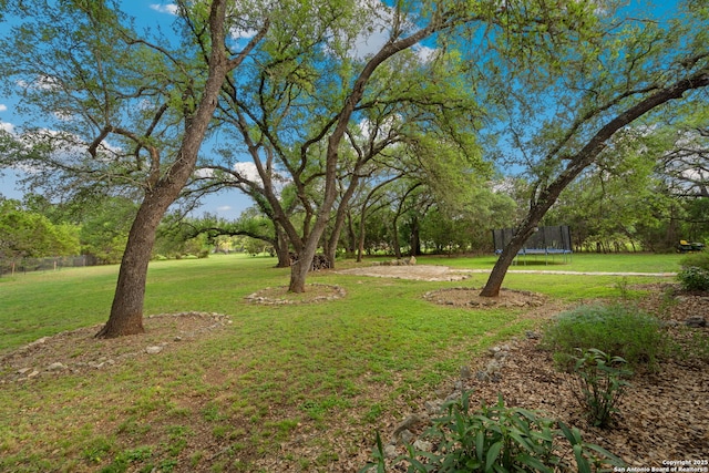 30406 Saddleridge, Bulverde, TX 78163 - view of yard featuring a trampoline and fence