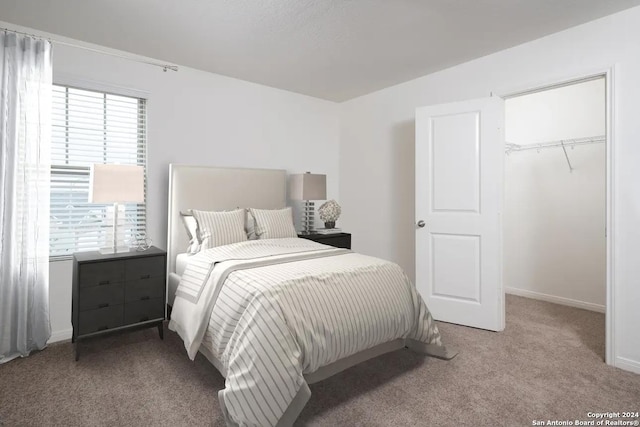 carpeted bedroom featuring baseboards, a spacious closet, and a closet