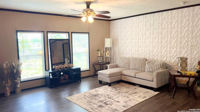 22902 Sweet Liberty, San Antonio, TX 78112 - living room with crown molding, a ceiling fan, and wood finished floors