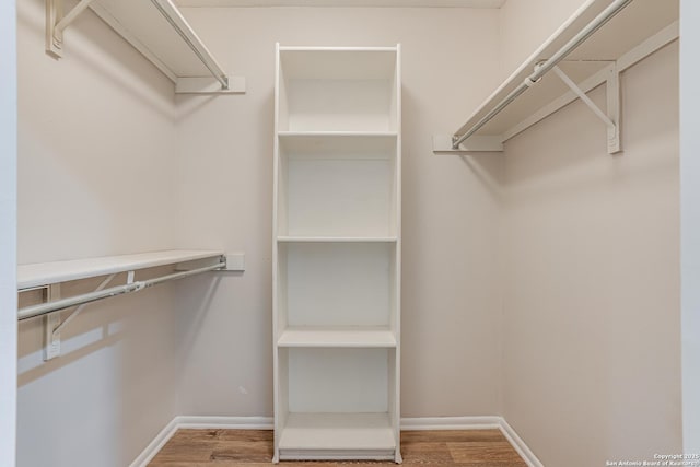 walk in closet featuring wood finished floors