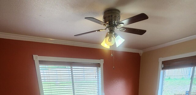 3014 War Knife, San Antonio, TX 78238 - room details with crown molding and a ceiling fan