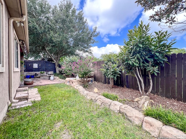 view of yard with a patio and a fenced backyard