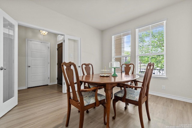 12819 Canadian, San Antonio, TX 78253 - dining space featuring french doors, baseboards, a wealth of natural light, and light wood-style floors