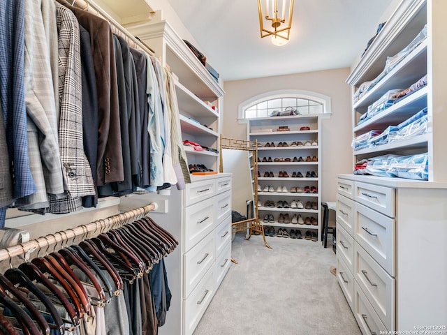 4 Waterford Gln, San Antonio, TX 78257 - walk in closet featuring light colored carpet