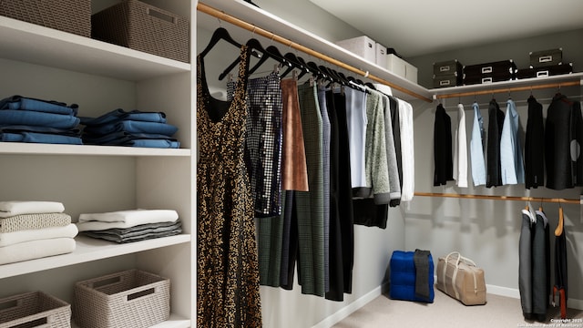 140 Duck Trl, San Antonio, TX 78245 - spacious closet with carpet floors