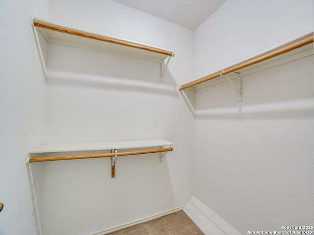 spacious closet with carpet