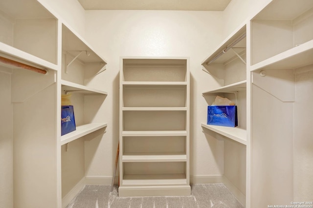 walk in closet with carpet