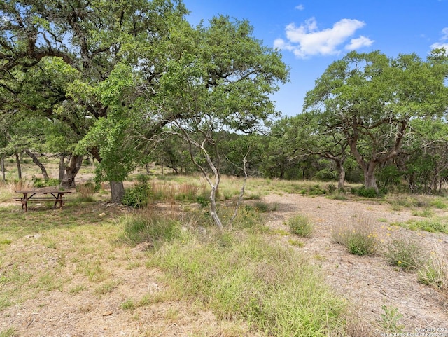 view of landscape