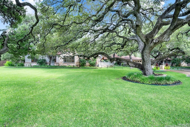 220 N School St, Boerne, TX 78006 - view of yard