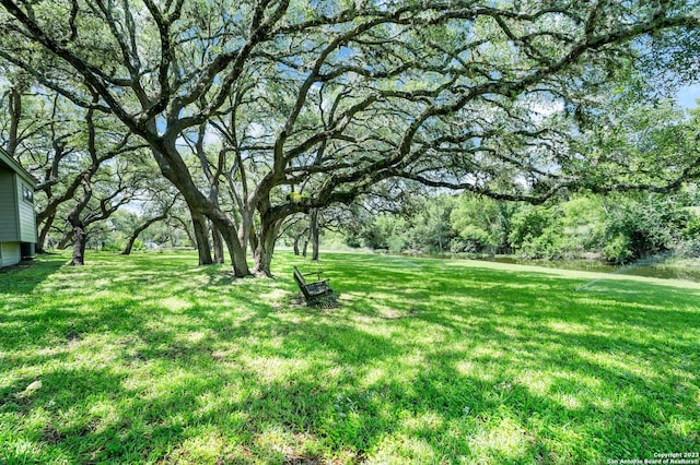 220 N School St, Boerne, TX 78006 - view of yard