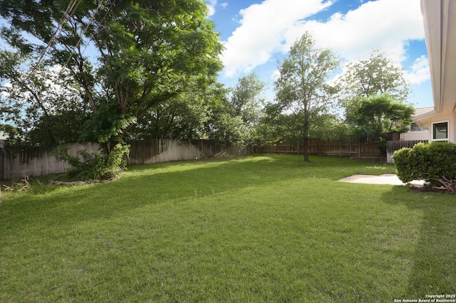 view of yard with a fenced backyard