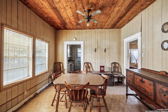 dining space featuring wood ceiling, ceiling fan, wood walls, and a wealth of natural light