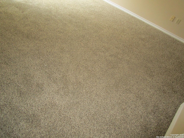 details featuring baseboards and carpet