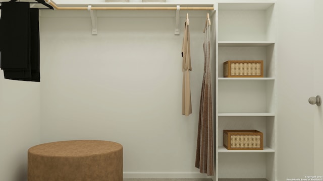 view of closet
