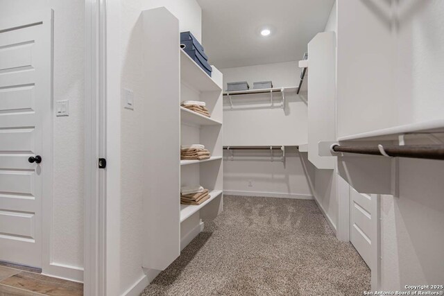walk in closet with carpet flooring