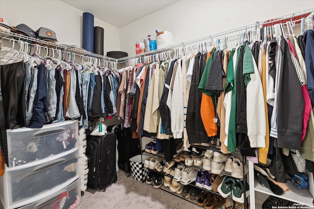 spacious closet featuring carpet flooring