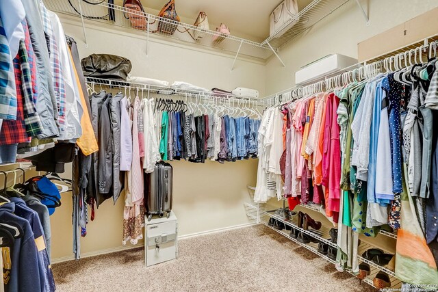 spacious closet featuring carpet floors