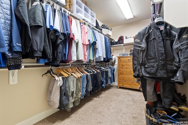 walk in closet with carpet
