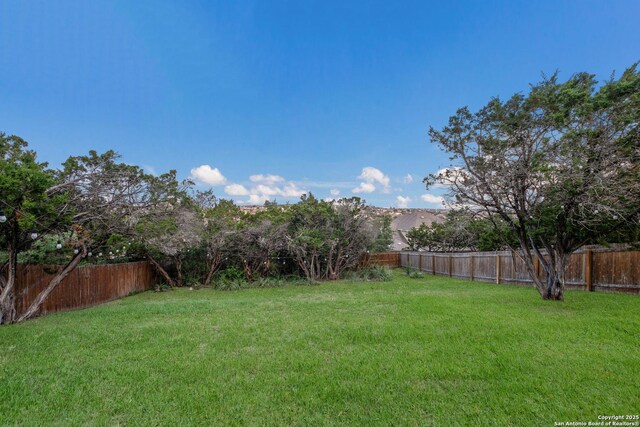 view of yard with a fenced backyard