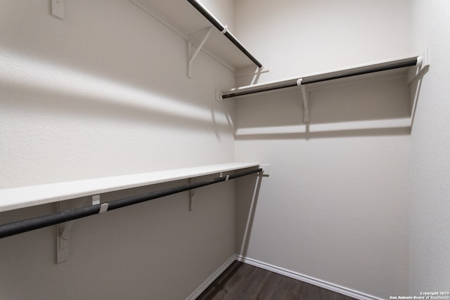 3436-3438 Scott Cir, Seguin, TX 78155 - spacious closet with dark wood-style floors