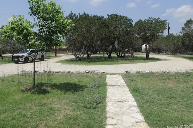 230 N Wph Holmes, Leakey, TX 78873 - view of yard