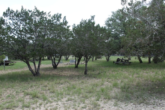 230 N Wph Holmes, Leakey, TX 78873 - view of yard