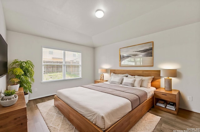 7111 Phoebe Vw, San Antonio, TX 78252 - bedroom featuring a raised ceiling, baseboards, and wood finished floors