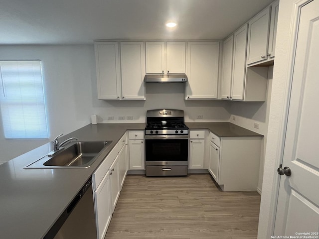 8823 Astral Pl, San Antonio, TX 78252 - kitchen with light wood-type flooring, recessed lighting, under cabinet range hood, a sink, and stainless steel appliances
