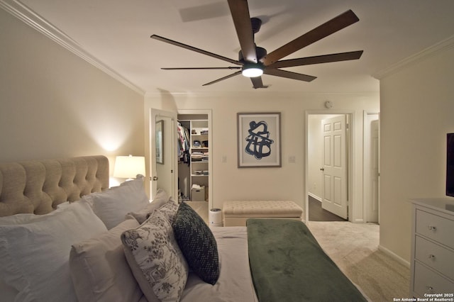 carpeted bedroom featuring crown molding, a walk in closet, a ceiling fan, baseboards, and a closet