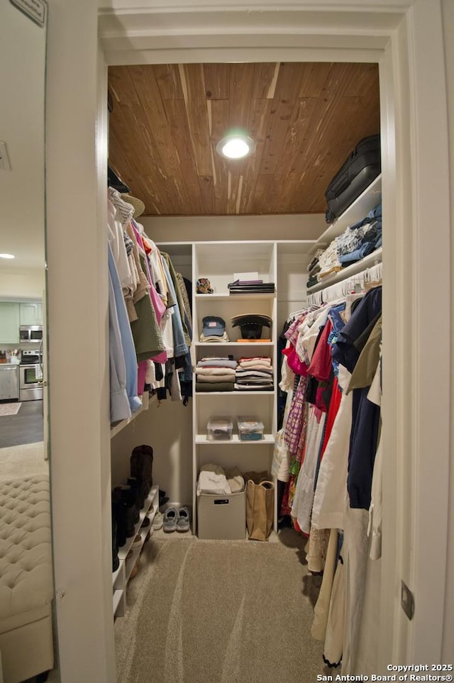 201 Ellwood Unit 107, San Antonio, TX 78209 - spacious closet with visible vents and carpet flooring