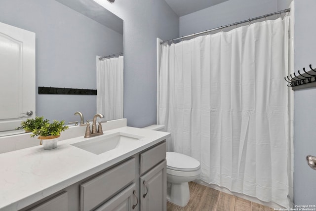 bathroom with vanity, wood finished floors, and toilet