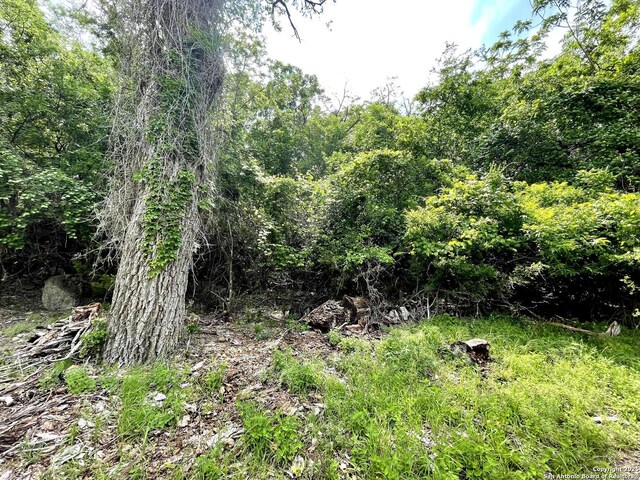 TBD Lakeshore Park Dr, Bandera, TX 78003